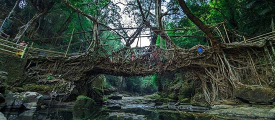 Customize Assam and Meghalaya Tour Package 1