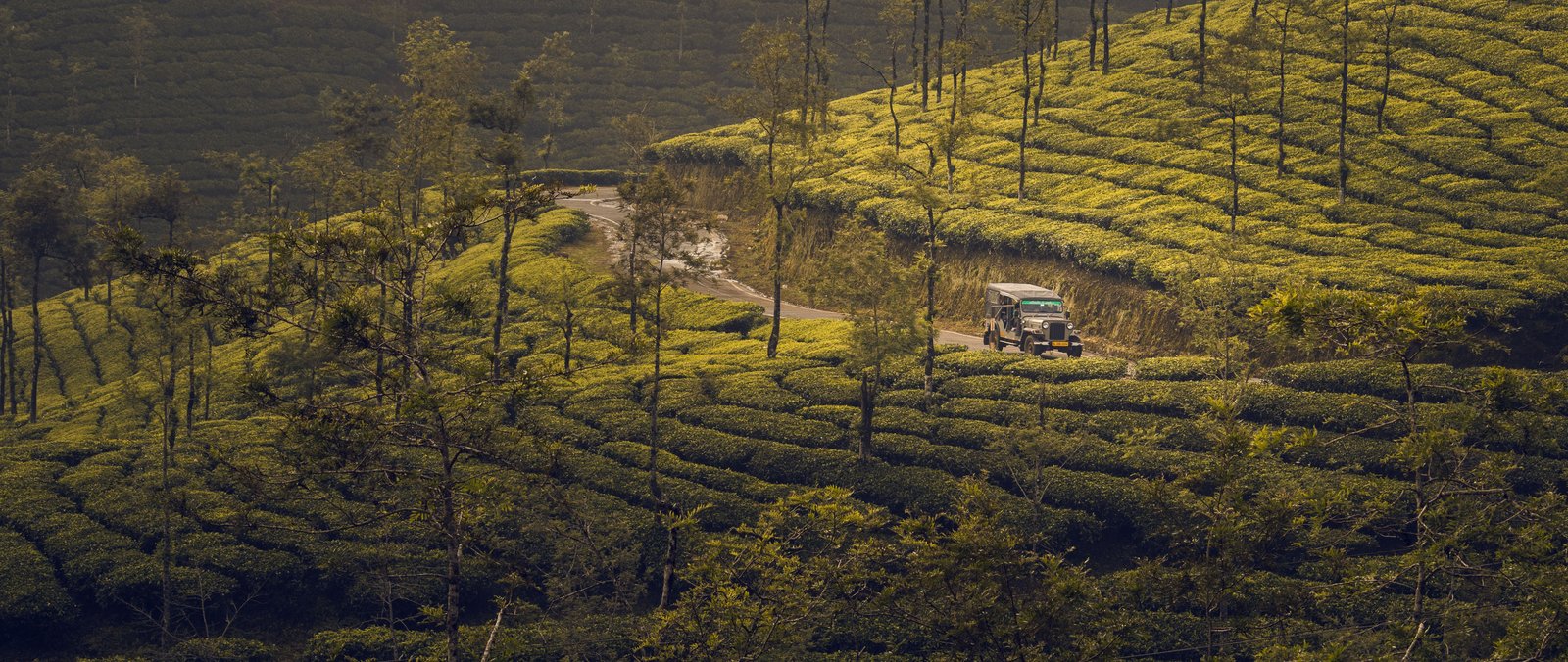 Best Kerala Tour Package 2