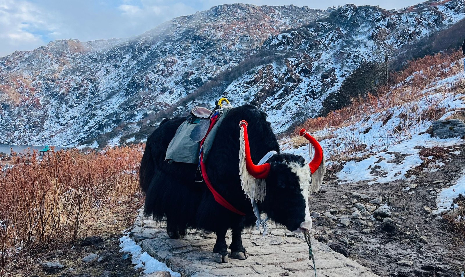 Best Sikkim & Darjeeling Tour Package 2